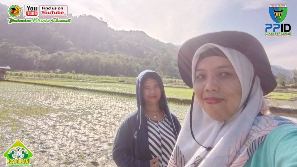 TURLAP STAF LAPANGAN IPDMIP DAN PENYULUH PERTANIAN SWADAYA DAERAH IRIGASI LUBUK AGUNG