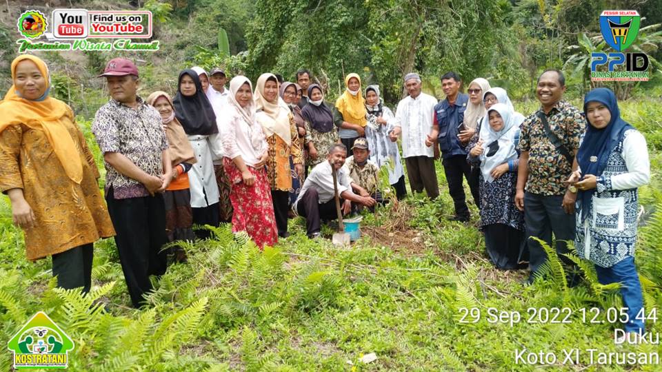 GERDAL OPT DAN PEMAKAIAN TRICHOKOMPOS UNTUK TANAMAN DURIAN DI KEC. KOTO XI TARUSAN