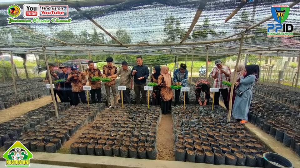 CEGAH INFLASI, BPP RAHUL TANAM 10.000 BIBIT CABE DAN BAWANG MERAH