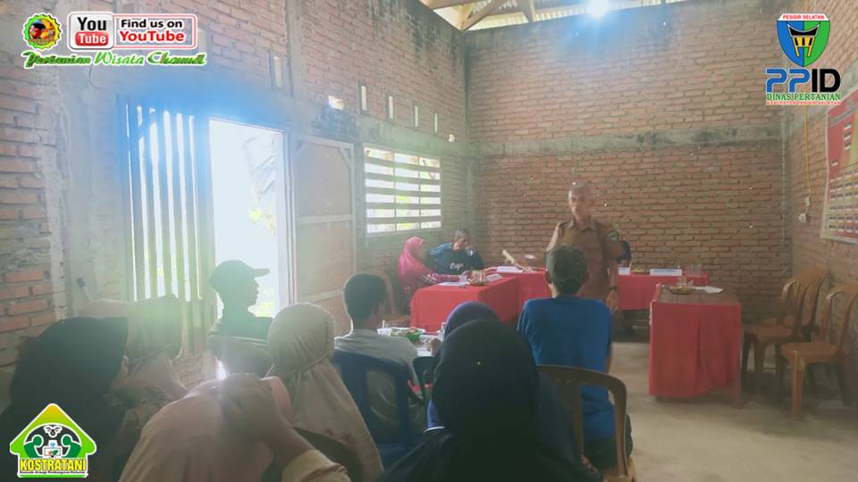 BUDIDAYA CABE RAWIT SEI. TUNU BARAT KEC. RANAH PESISIR, BENTUK KOLABORASI PENYULUH & KEWALINAGARIAN