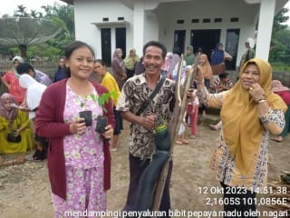 menghadiri penyerahan bibit pepaya madu di nagari batang arah tapan