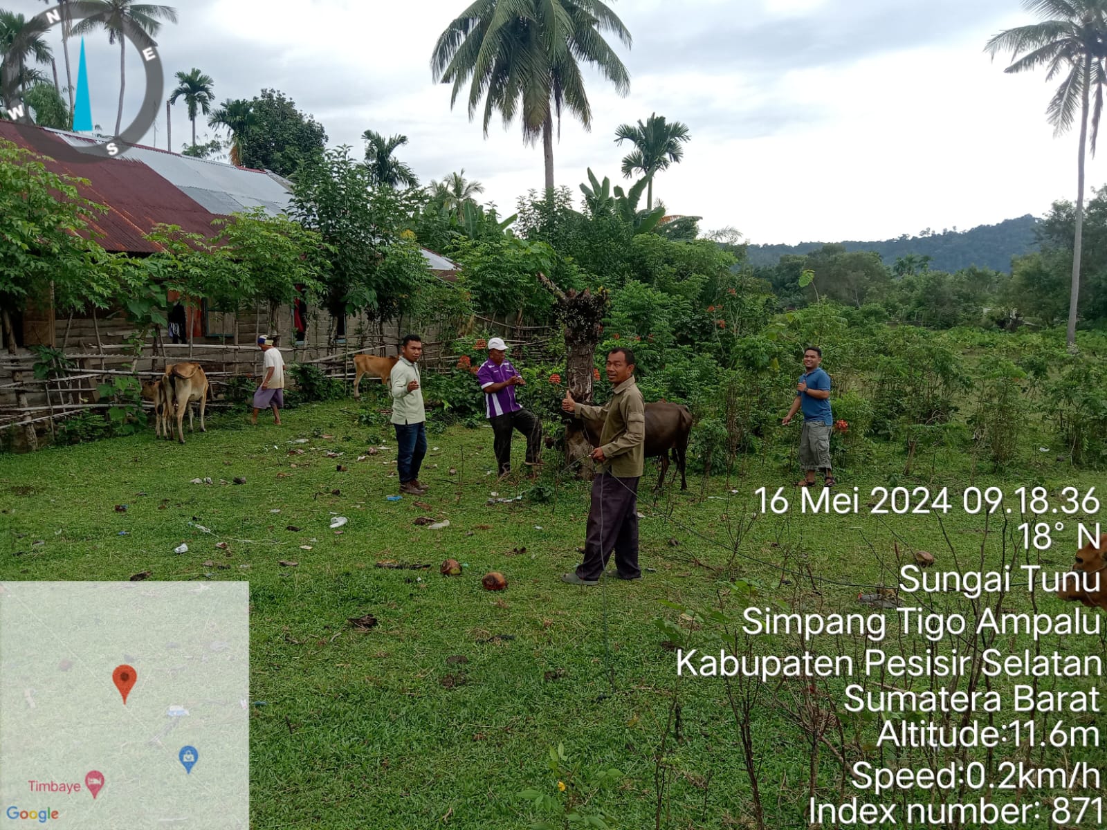 Vaksinasi PMK di Nagari Sungai Tunu Kecamatan Ranah Pesisir