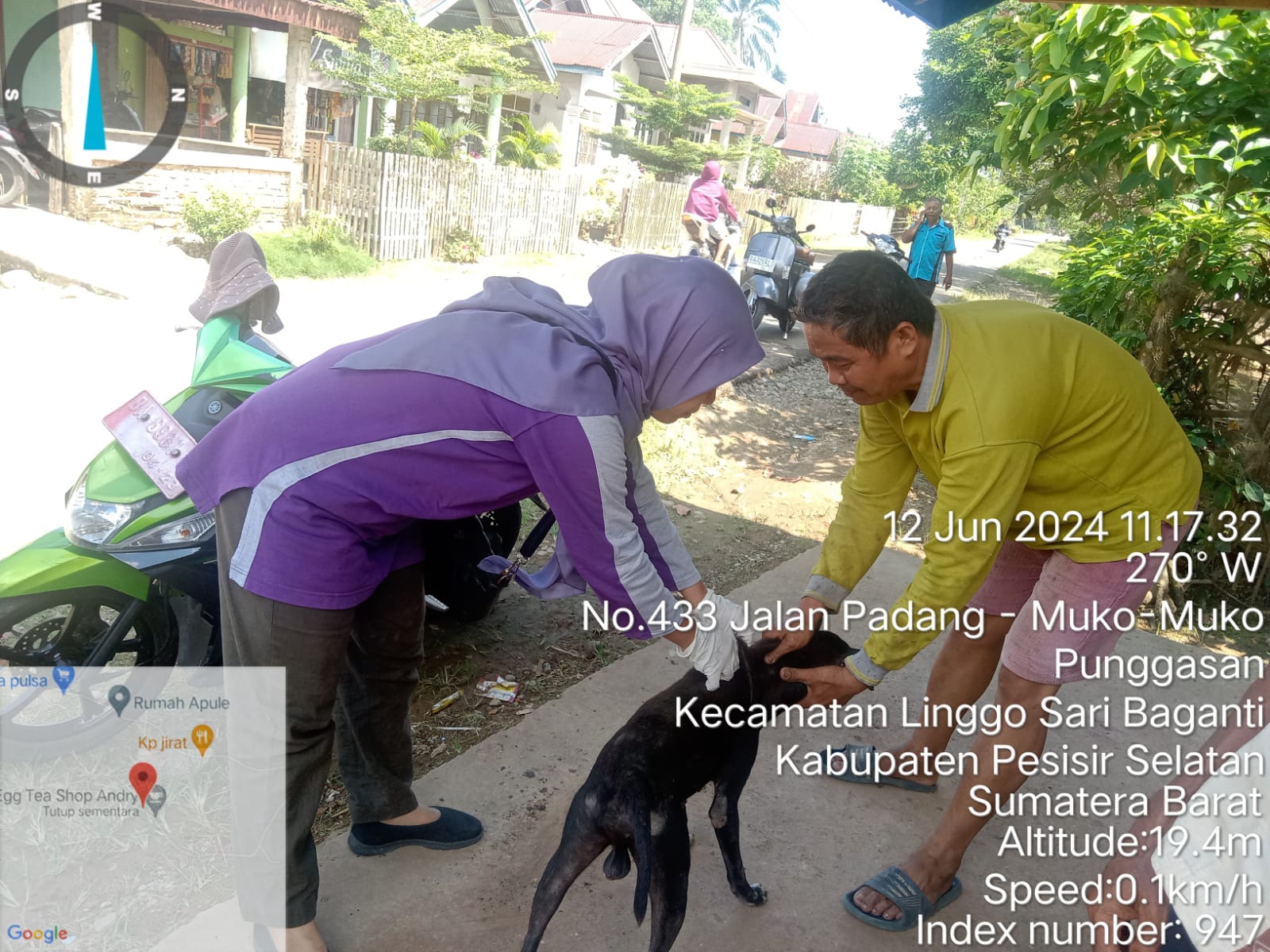 Vaksinasi Rabies Pada Hewan Pembawa Rabies di Nagari Punggasan Timur Kecamatan Linggo Sari Baganti