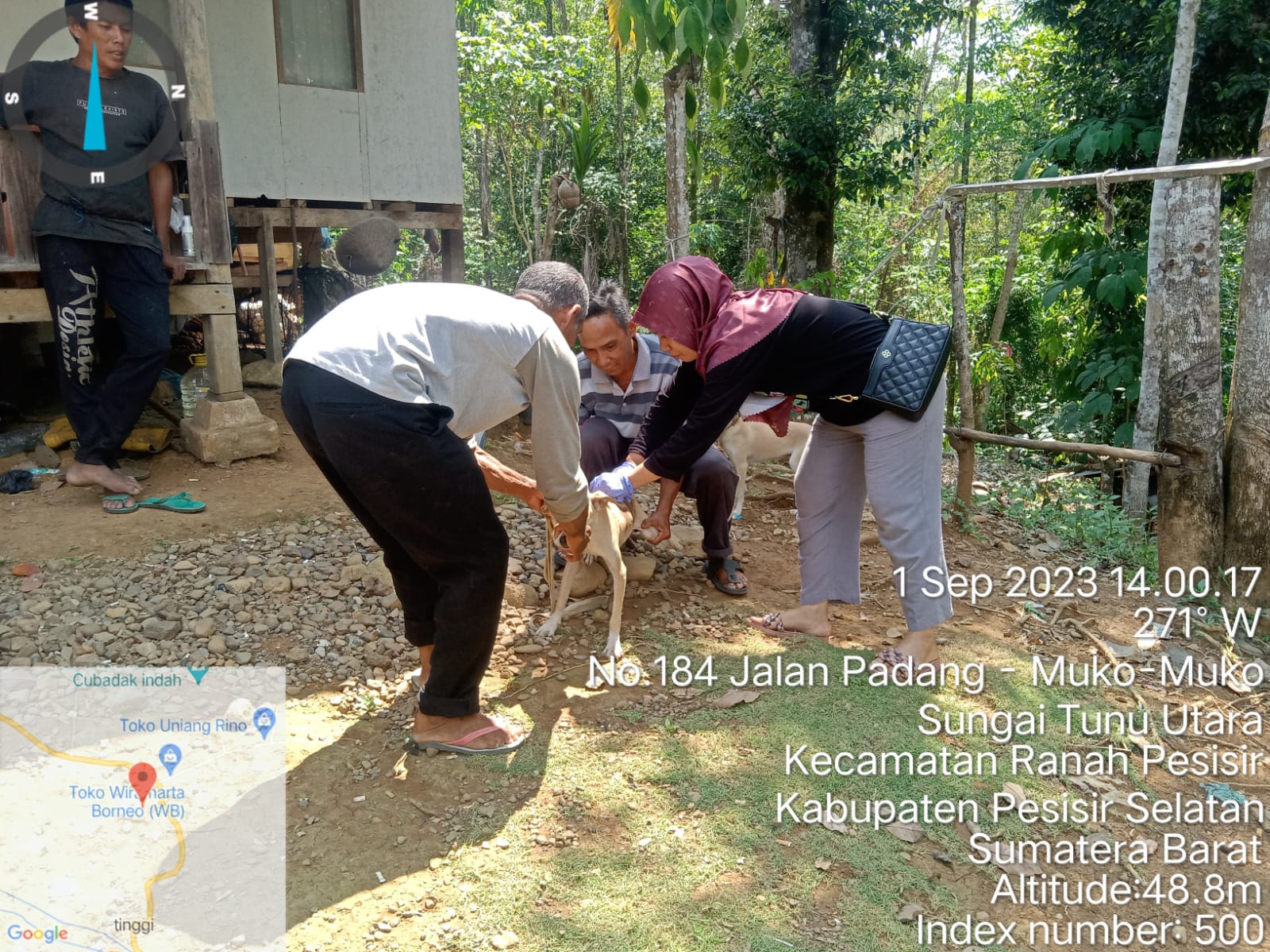 vaksinasi rabies di nagari pelangai kecil kecamatan Ranah Pesisir