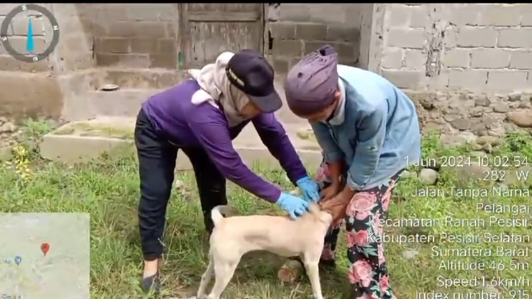 Vaksinasi Rabies Pada Hewan Pembawa Rabies di Nagari Pelangai Kecil