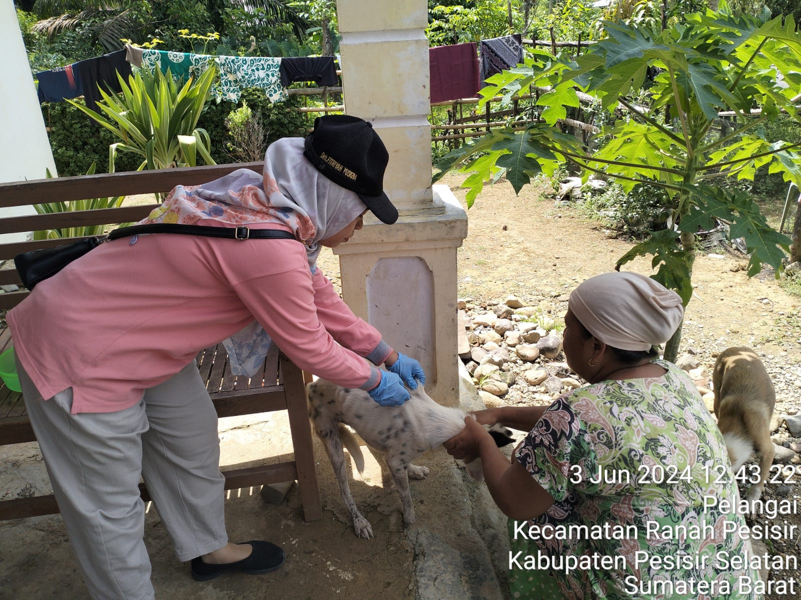 Vaksinasi Rabies Pada Hewan Pembawa Rabies di Nagari Sungai Liku Pelangai