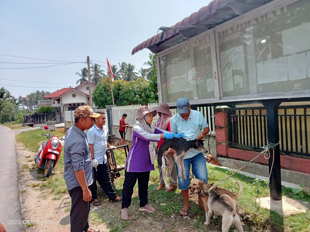 vaksinasi rabies oleh Puskeswan Padang Laban di Nagari Punggasan Timur
