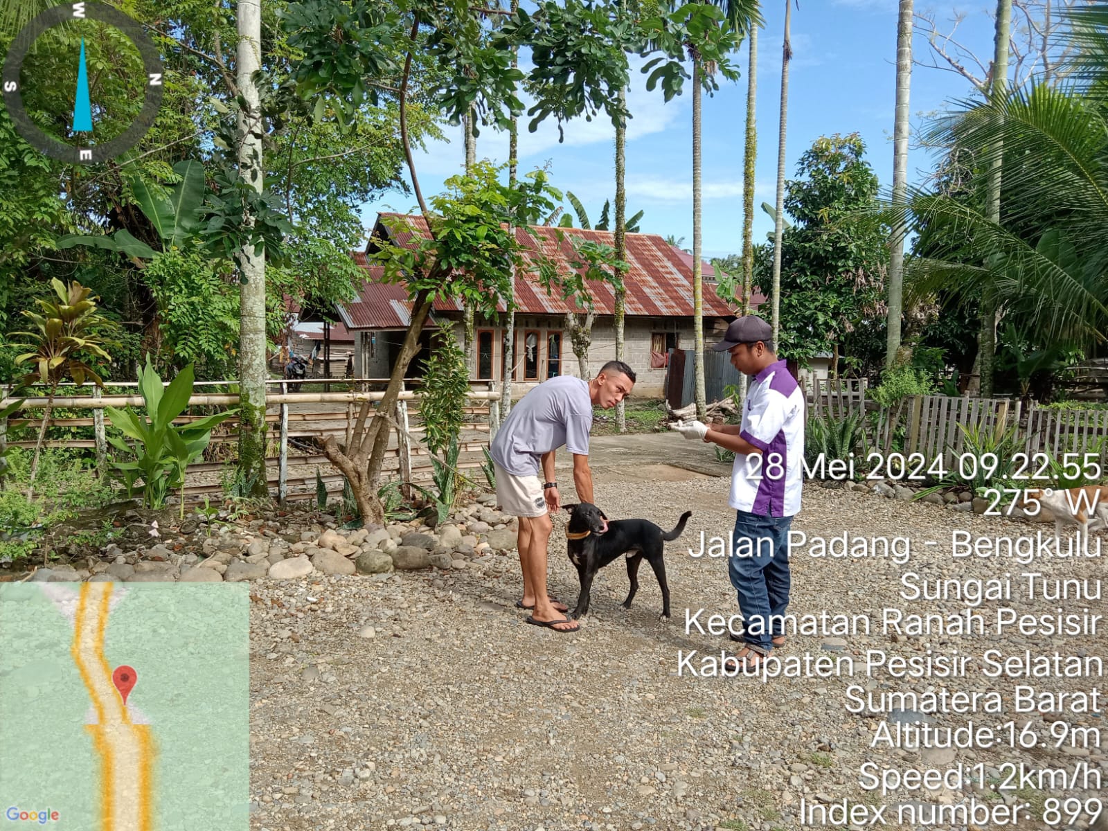 Vaksinasi Rabies Pada Hewan Pembawa Rabies di Nagari Pasia Pelangai